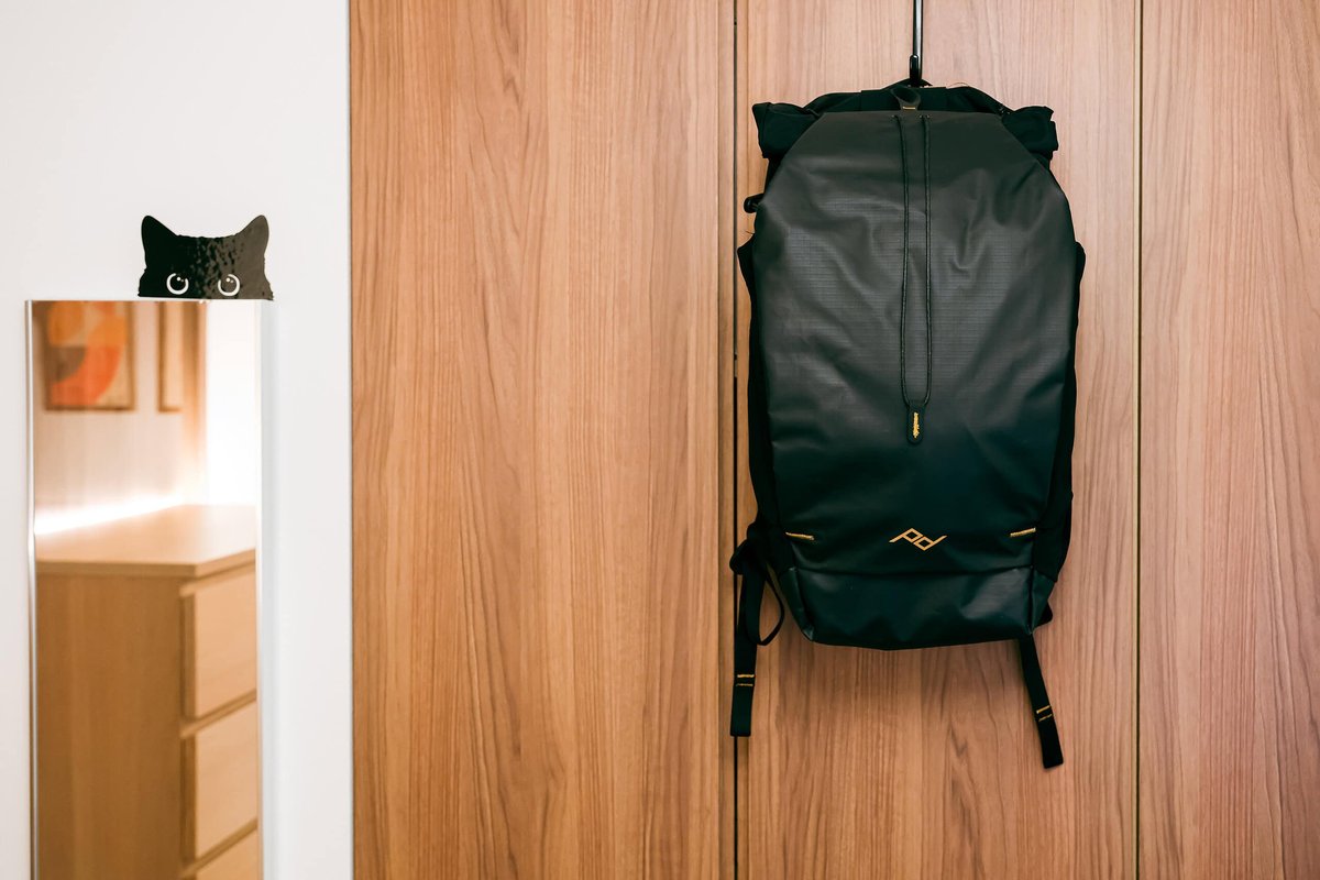 Peak Design Outdoor Backpack 25L を購入