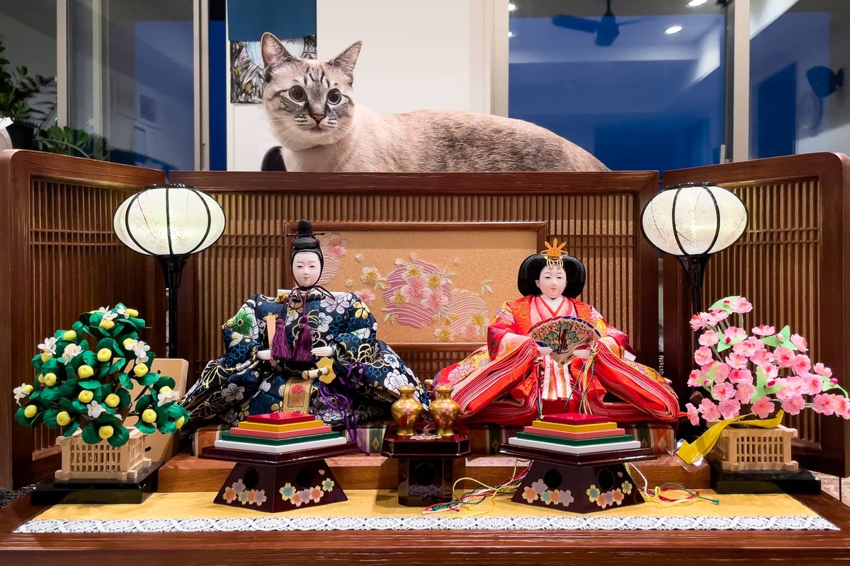 Japanese Hina Dolls with Cat