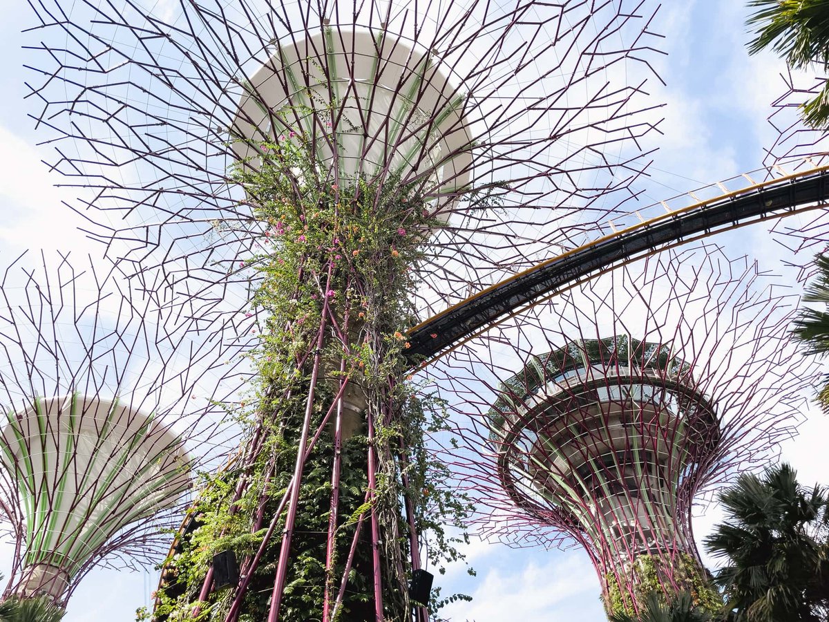 シンガポール出張から日本帰国に必要な書類と流れ(2022年9月時点)