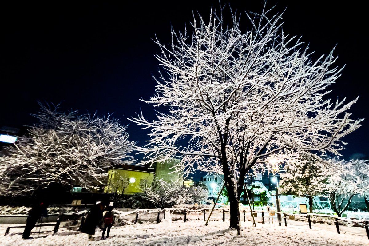 Snowy Park in Tokyo